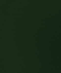ТРУДНОГОРЮЧИЕ панели ГКЛ с ПВХ-покрытием 12,5 х 1200 х 2500  Темно-зеленый